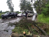 МЧС: ТРАССА В ОЧАМЧЫРСКОМ РАЙОНЕ ПОСЛЕ ПАДЕНИЯ ДЕРЕВЬЕВ РАЗБЛОКИРОВАНА